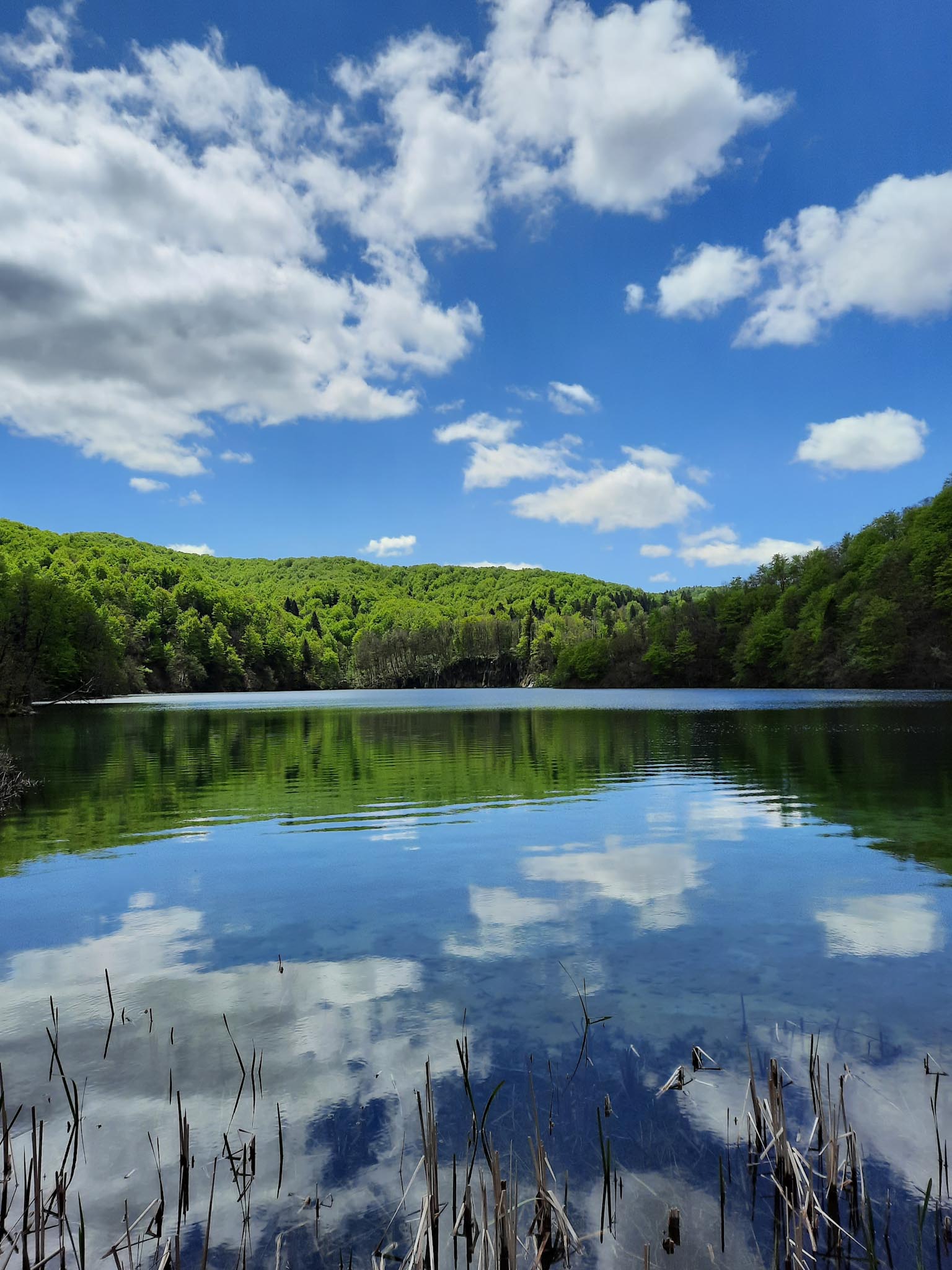Water reflection photography at Plitvice Lakes National Park - serene landscape and mirror effect